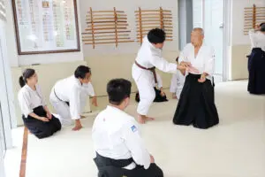 Martial arts class in dojo with instructor demonstrating a technique and students watching.