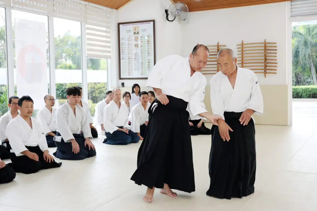 Two martial artists practicing a technique in a bright dojo with seated students watching.